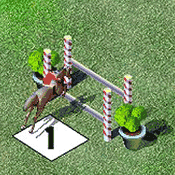 Show Jumping
